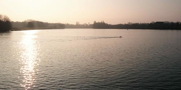 First open water swim of the year