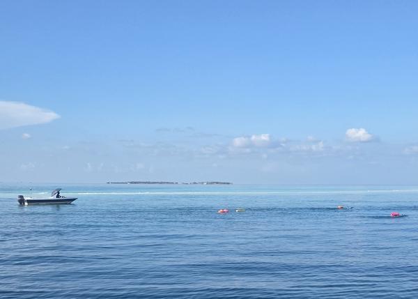 Outdoor Swimmer Courses