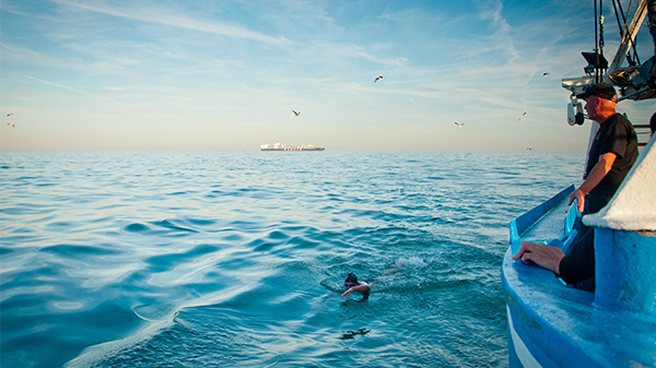 English Channel swimming resumes