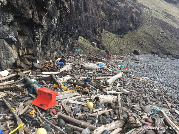 Beach clean