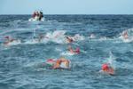 Swimmers following safety boat