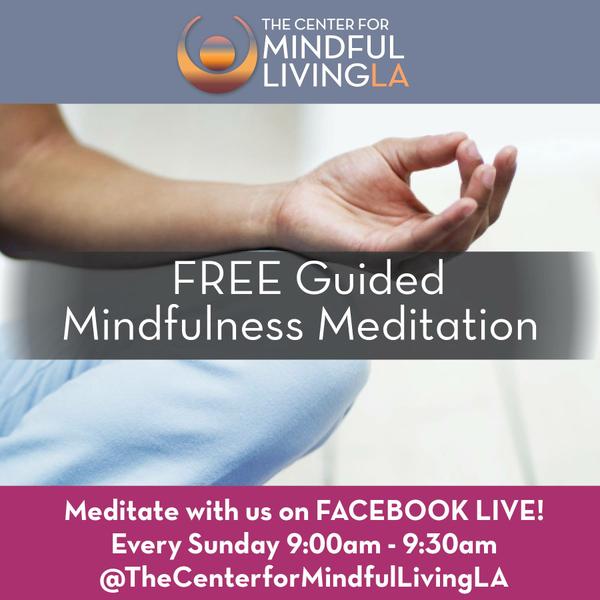 The Center for Mindful Living LA Sunday morning meditation