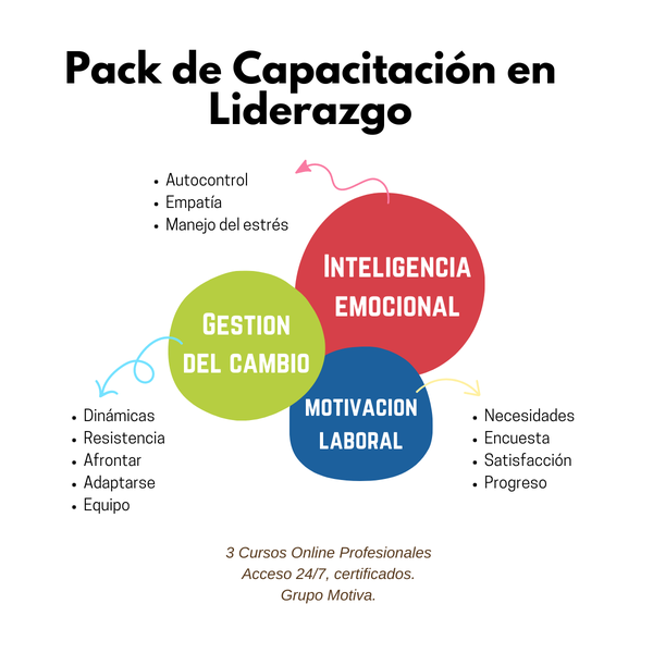 ¿Como Líder Tienes Las 3 competencias del Liderazgo actual?