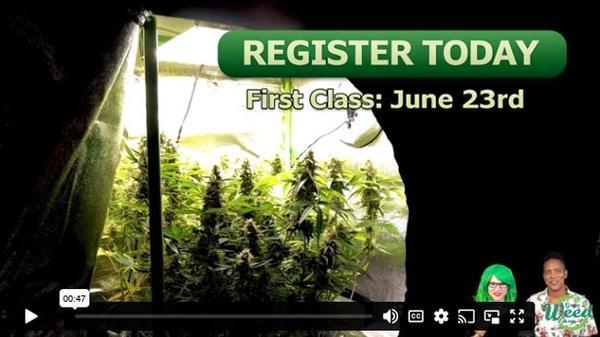 Click here to register today.