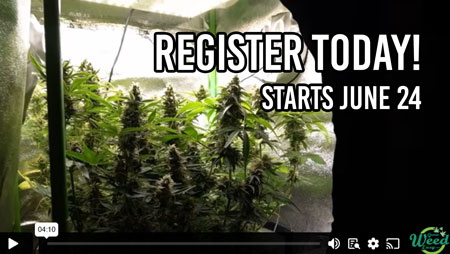 Register for Home Grow Masterclass!