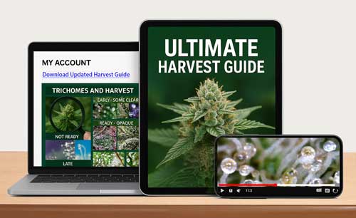 Digital Harvest guide kit