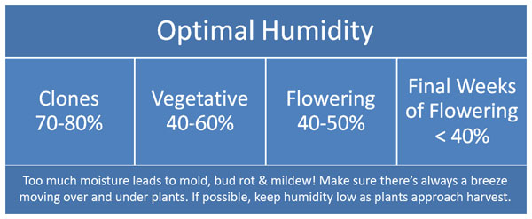 What's the optimal humidity for your plants?
