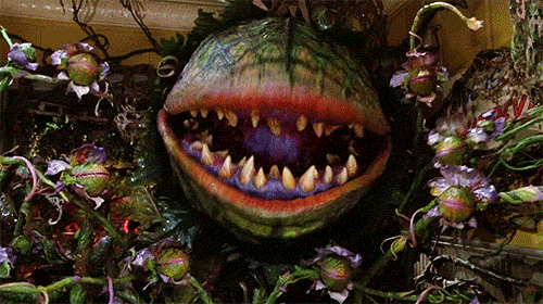This is Audrey II, the man-eating plant from Little Shop of Horrors. Happy Halloween!