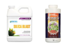 Silica strengthens stems and protects against excess heat!