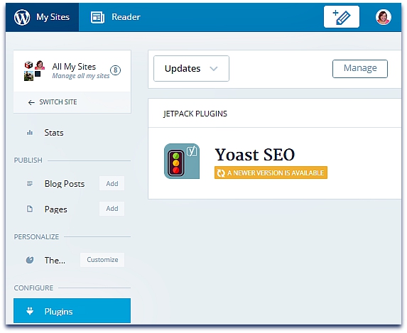 Yoast Plugin Updat