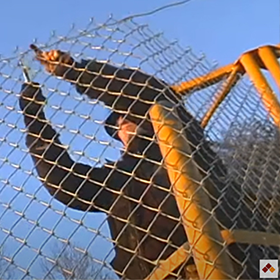 Installink Fence Dispenser