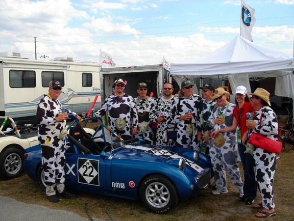 Valerie with the Sebring cows