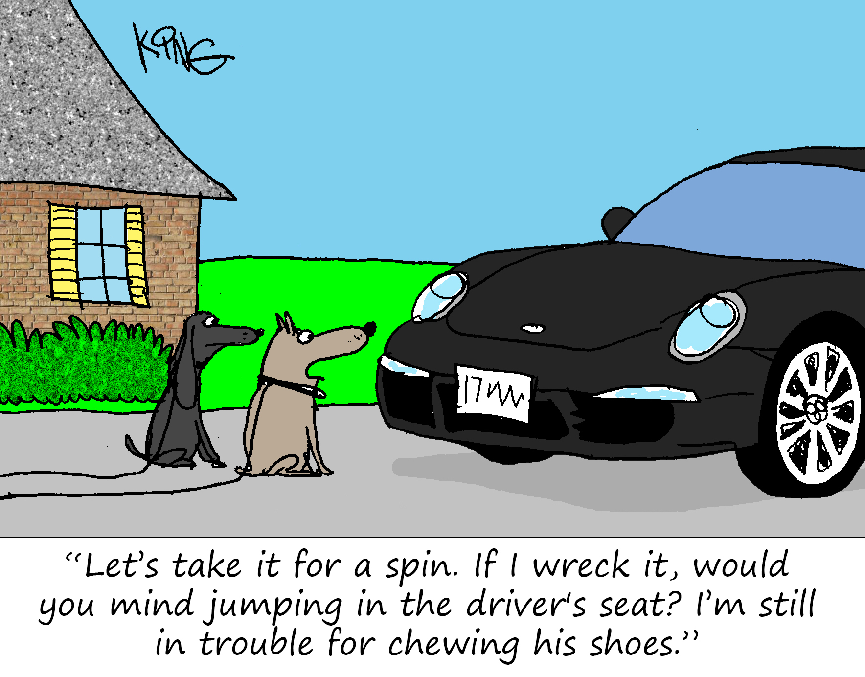 "Let's take it for a spin. If I wreck it, would you mind jumping in the driver's seat?  I'm still in trouble for chewing his shoes."