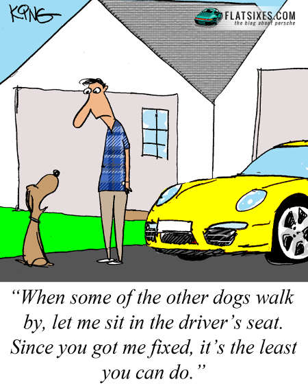 Porsche cartoon 62