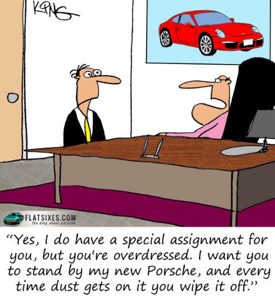 Porsche Cartoon Interview