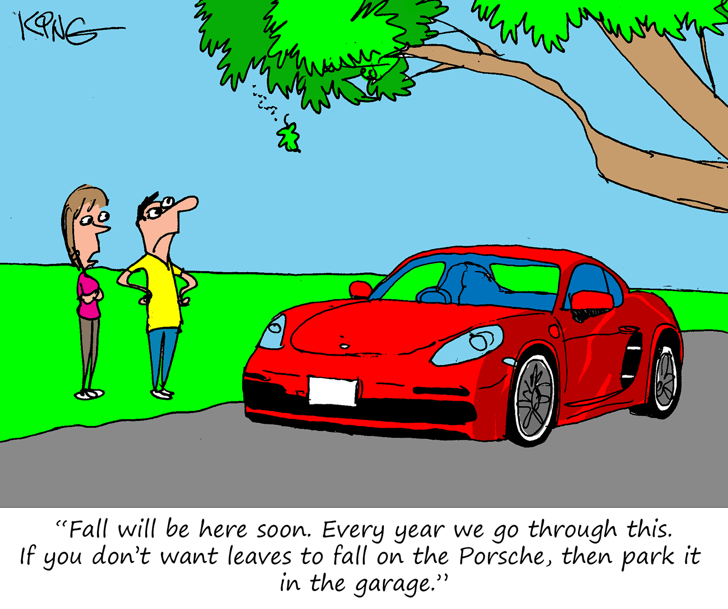 Porsche Cartoon