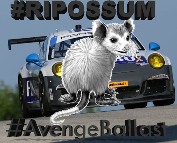 RIP Possum