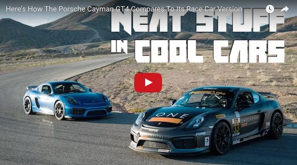 CJ Wilson compares GT4 to GT4 Clubsport