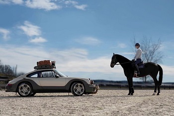 Safari 911