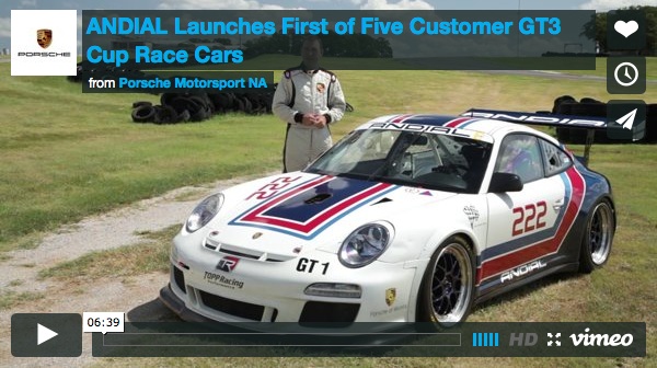 First Andial Car Delivered Video