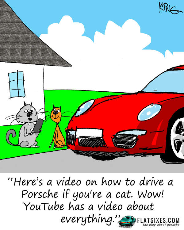 Porsche Cartoon Interview