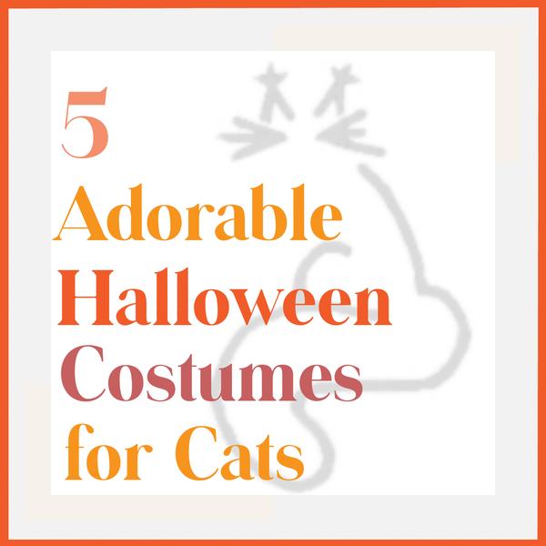 Halloween Costumes for Cats