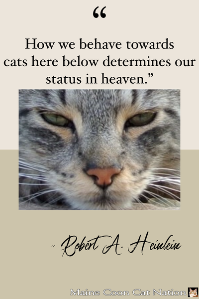 "How we behave towards cats here below determines our status in heaven"