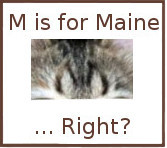 M For Maine?