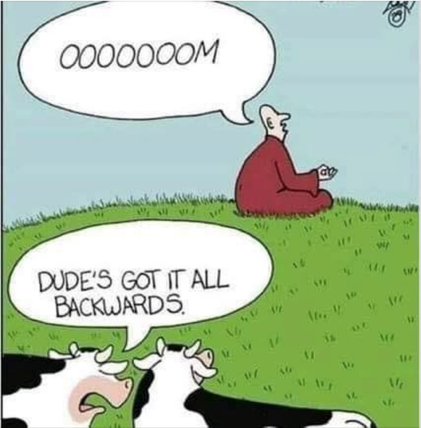 Cartoon