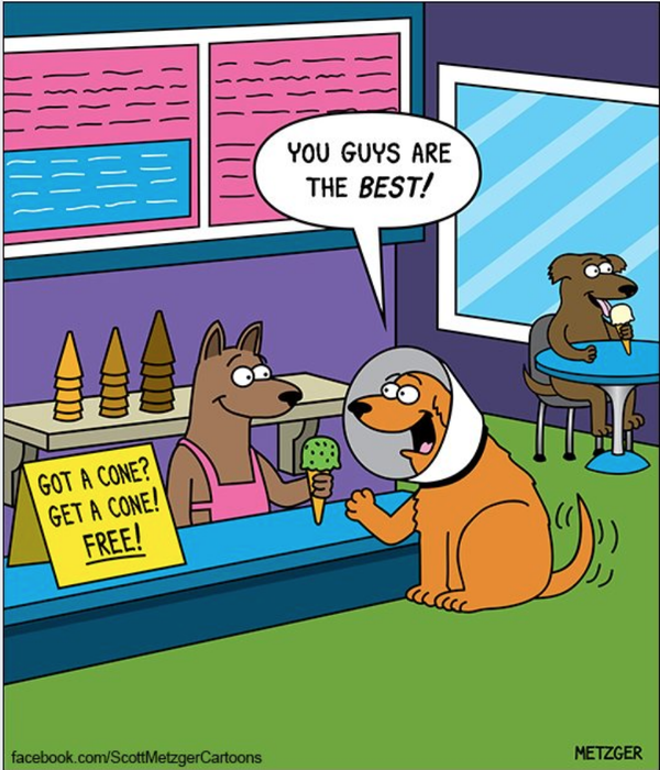 Cartoon