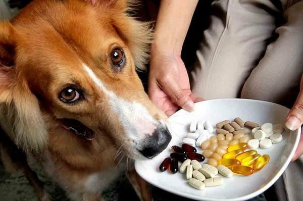 Supplements