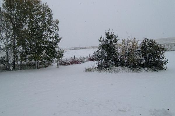 Weather Pic