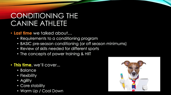 Conditioning the Canine Athlete part 2