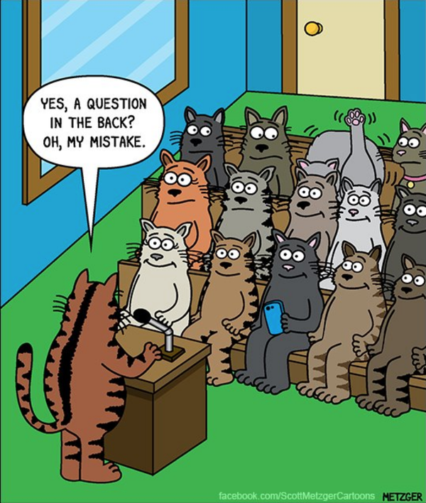Cartoon!