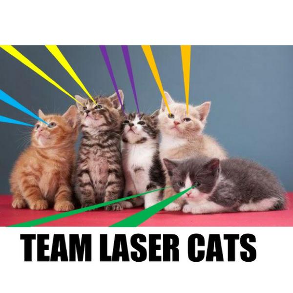 Laser Cats