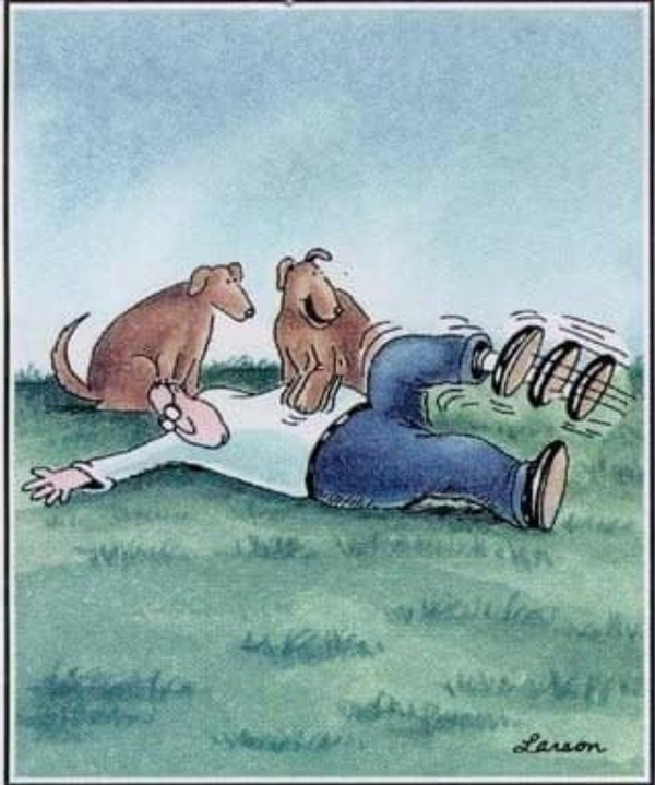 Cartoon