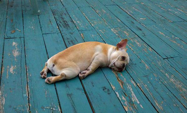 Fatigue