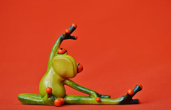 Frog Stretch