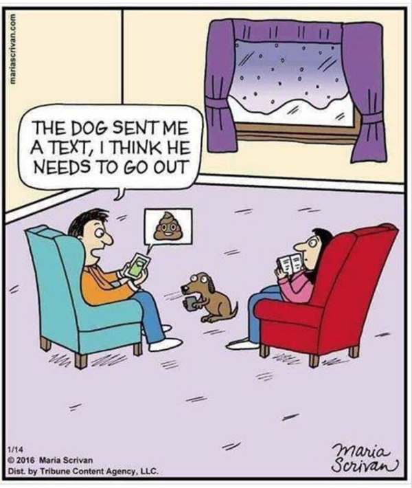 Cartoon