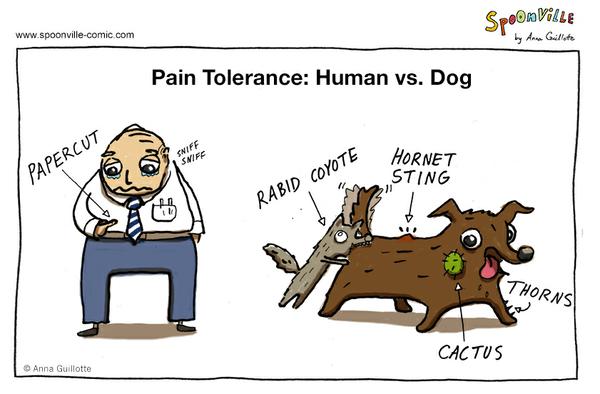 Cartoon