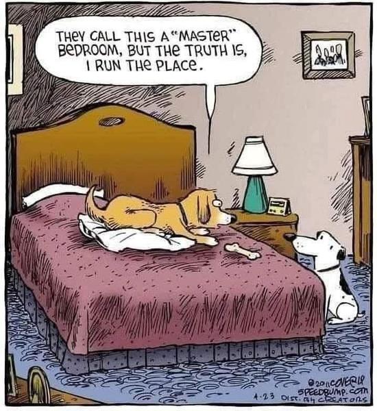 Cartoon