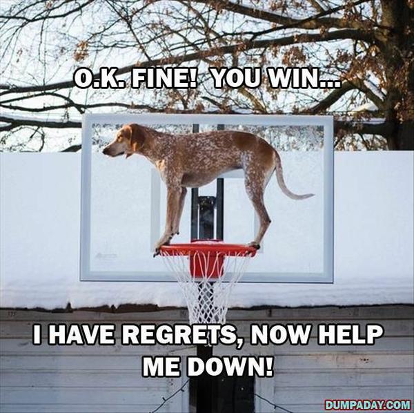Regrets & Growth