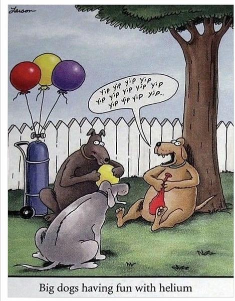Cartoon
