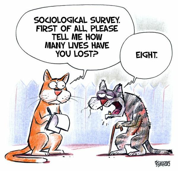 Cartoon