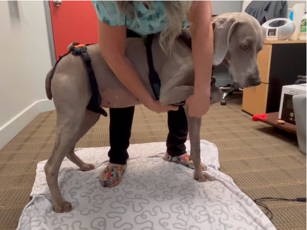Balancing after a ventral slot