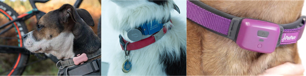 Activity Monitors for Dogs