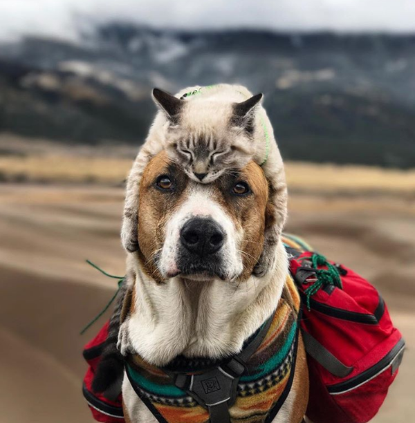Building Relationships