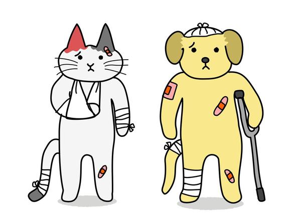 Cartoon Dog and Cat with Bandages