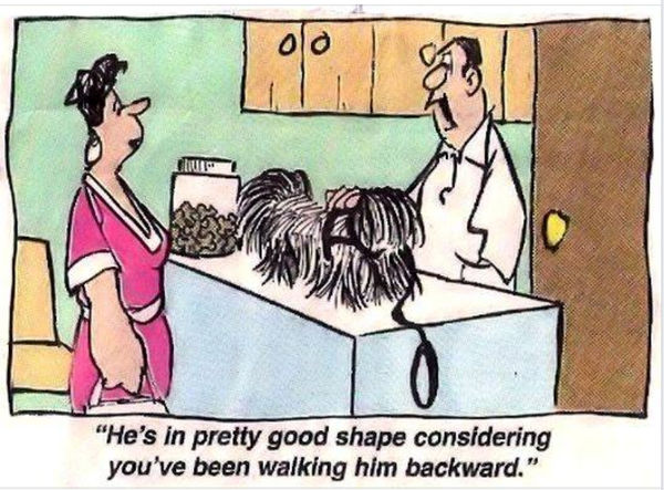 Cartoon!