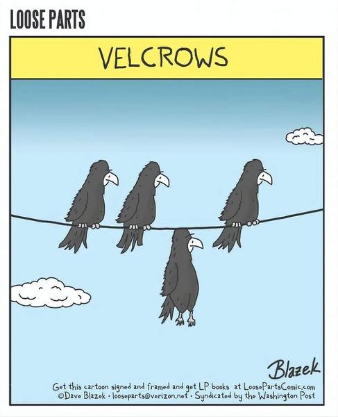 Cartoon